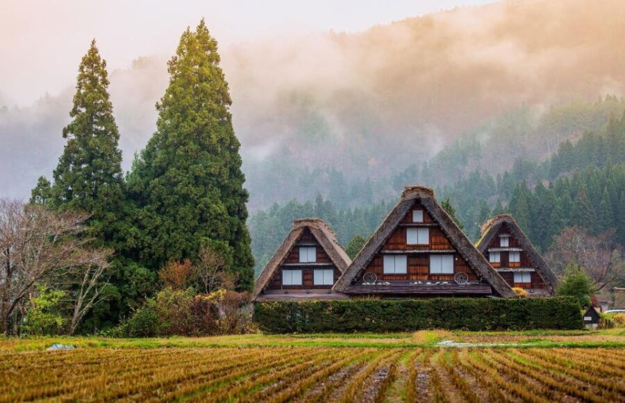Private Nagoya Tour With Expert English Guide & Hotel Pickup