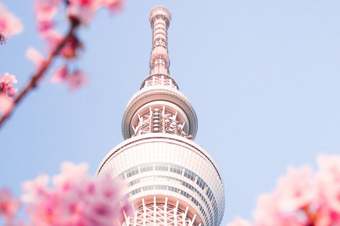 Private Round Trip Transfer From Haneda/Narita Airport to Tokyo.