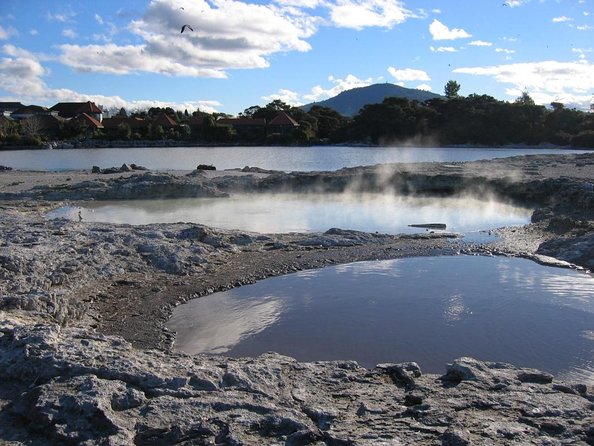 Private Shore Excursion Rotorua/ Tauranga Maori Culture, Geyser & Concert