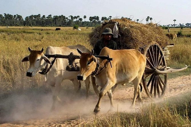 Private Siem Reap Quad Bike Adventure