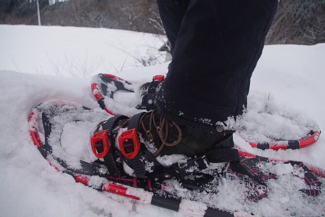 Private Snowshoeing Tour in Hida - Good To Know