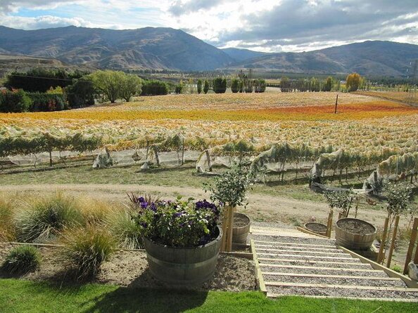 Private Supercar Ride With Pro Driver, Cromwell - Queenstown