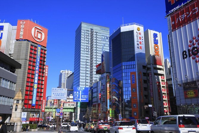 Private Tour Akihabara Adventure Explore Tokyos Electric Town - Good To Know