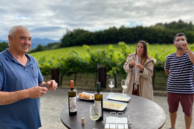 Private Tour at a Family Winery and Basque Coast Route - Good To Know