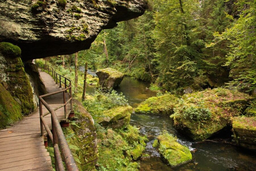 Private Tour to Czech-Saxon Switzerland National Park - Good To Know