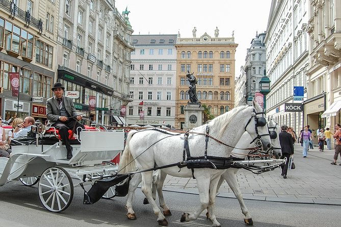 Private Vienna City Tour With Schonbrunn Palace Visit
