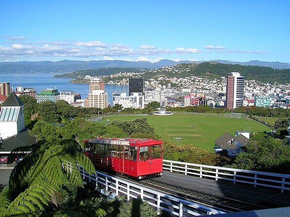 Private Wellington Full Day Sightseeing Tour