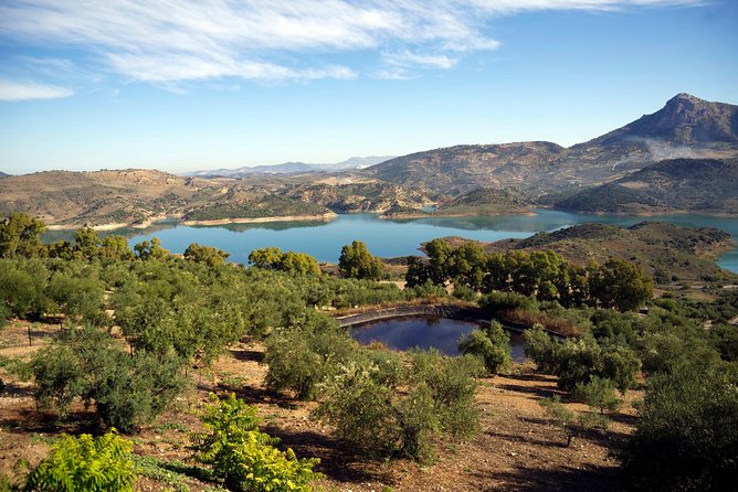 Private White Villages & Ronda Day Tour From Seville - Good To Know