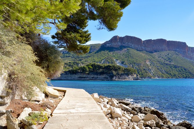 Provence Highlights Private Full-Day Tour - Marseille