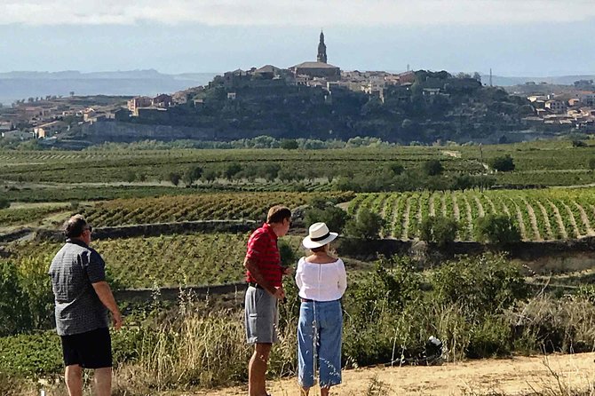 Rioja Wineries and Laguardia Tour With Picnic From San Sebastian