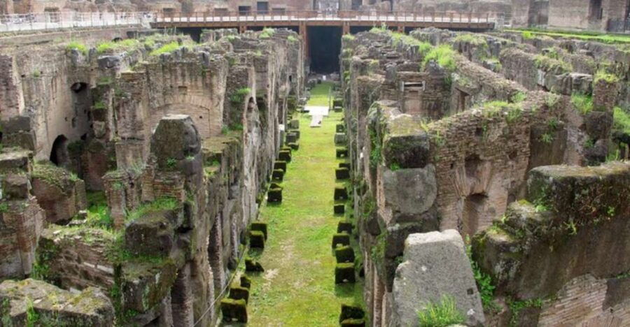 Rome: Colosseum Underground & Roman Forum With Private Guide - Good To Know