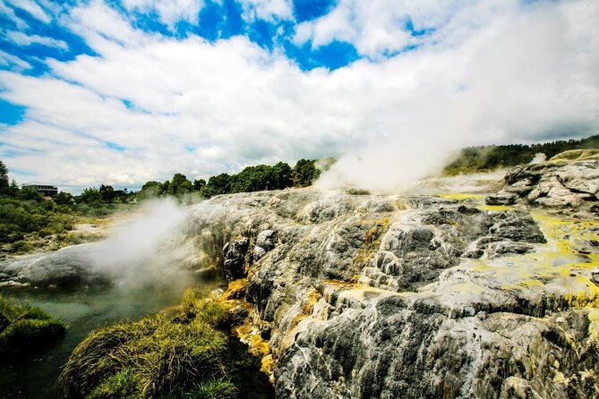 Rotorua Discovery Te Puia Tour