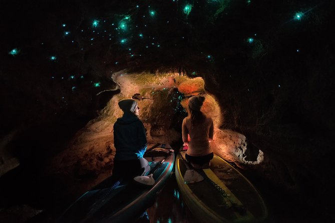 Rotorua Stand-Up Paddle Board Glow Worm Tour
