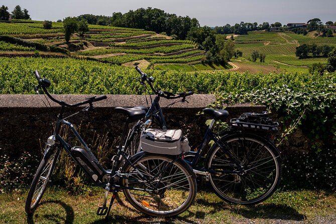 Saint-Émilion Wine Tour by Electric Bike, Lunch Included
