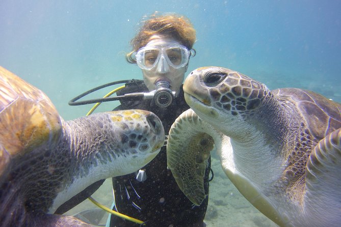 Scuba Diving Beginners Session in Costa Adeje - Good To Know