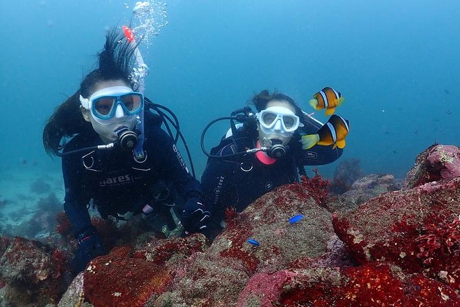 2 Best Snorkeling Experiences In Ito