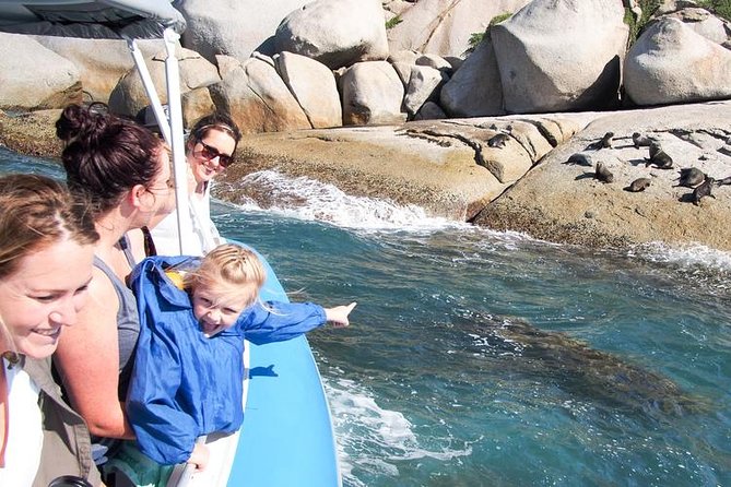 Seal Island Boat Tour From Victor Harbor - Features of the Boat