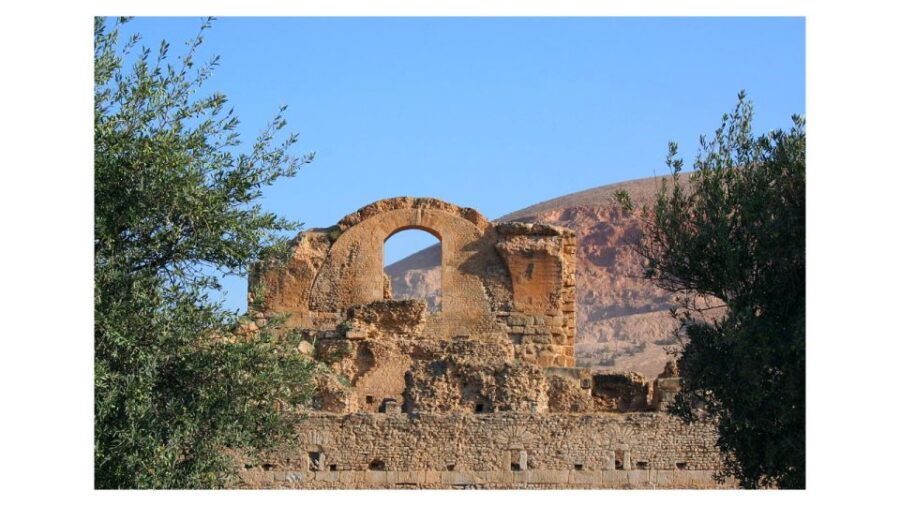 Self-Discovery: Dougga & Bulla Regia Adventure
