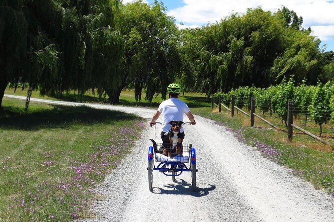 Self-Guided Wine Tours by Bike With Steve & Jo in Marlborough - Good To Know