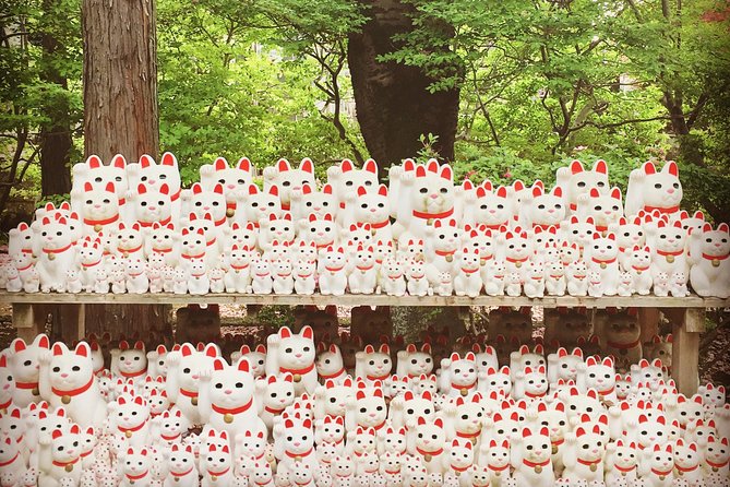 Setagaya Cat Tour! - Good To Know