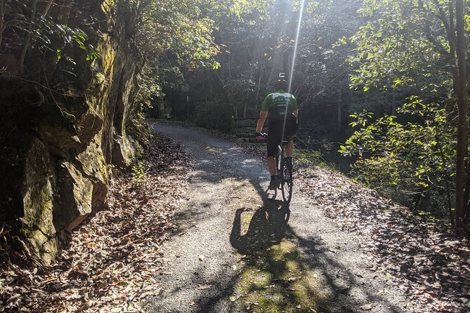 Shikoku 88 Temple Pilgrimage by E- Bike Tour