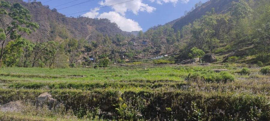 Shivapuri National Park Day Hiking From Kathmandu - Good To Know