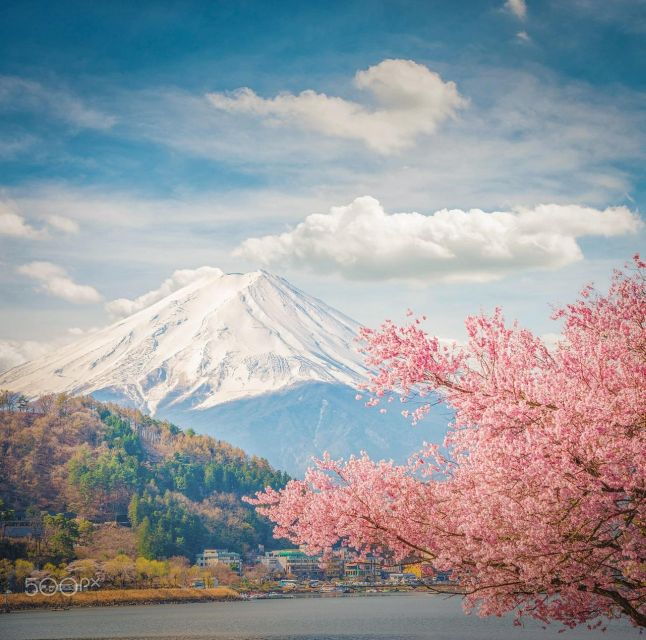 Shizuoka Marathon-Held on March 10th (42.195km)