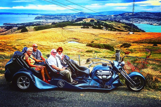 25 Best Tours In Dunedin and The Otago Peninsula
