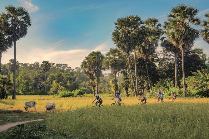 Siem Reap Countryside Tour, Local Village With English Tour Guide