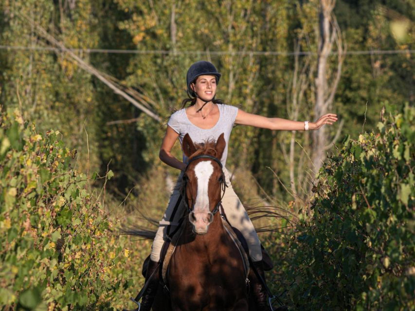 Siena: Horseback Adventure in the Tuscan Countryside - Good To Know