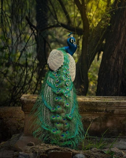 Skip The Line : Nahargarh Biological Park Tour, Jaipur - Good To Know