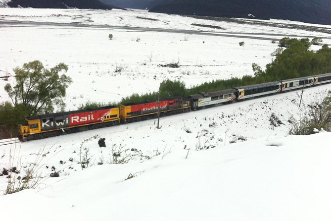 Small-Group Day Tour by Train From Christchurch, Arthurs Pass