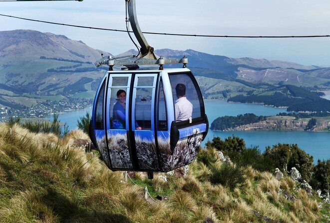 Small-Group Half-Day Tour With Avon Punt Ride, Christchurch