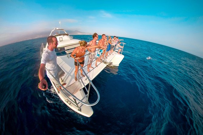 Small-Group Whale and Dolphin-Watching Tour by Catamaran - Tenerife - Good To Know