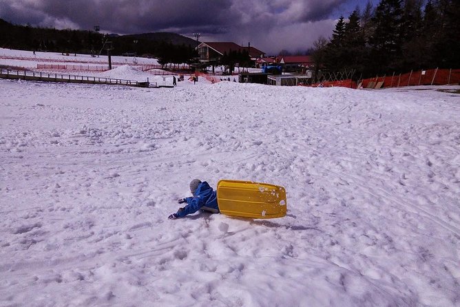 Strawberry Picking and Snow Experience at Mt Fuji Ski Resort for VIP - Good To Know