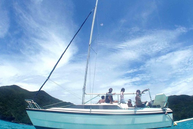 Swim With Sea Turtles at Kerama Islands