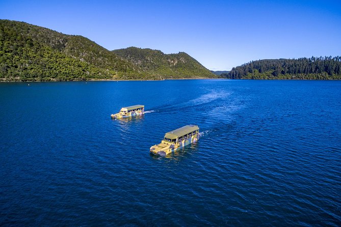 Tarawera and Rotorua Lakes Eco Tour by Boat With Guide