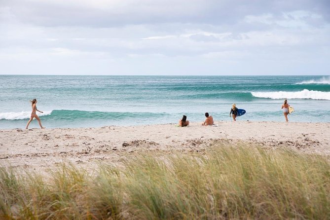 Tauranga Shore Excursion: Small-Group Bay of Plenty and Tauranga Tour