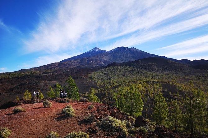 Teide National Park for Smaller Groups - Good To Know