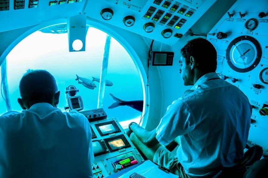 Tenerife: 50-Minute Submarine Dive - Good To Know