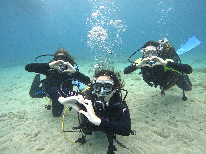 Tenerife: Beginners Dive at a Spot With Turtle Sightings - Good To Know