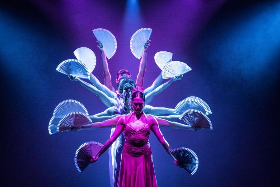 Tenerife : Olé Flamenco Show by Fran Chafino Ticket - Good To Know