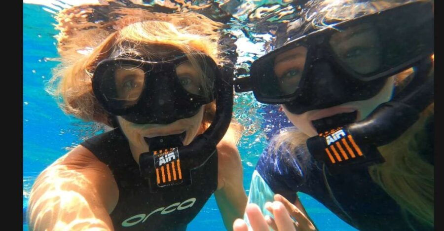 Tenerife: Snorkeling Tour in a Marine Protected Area - Good To Know