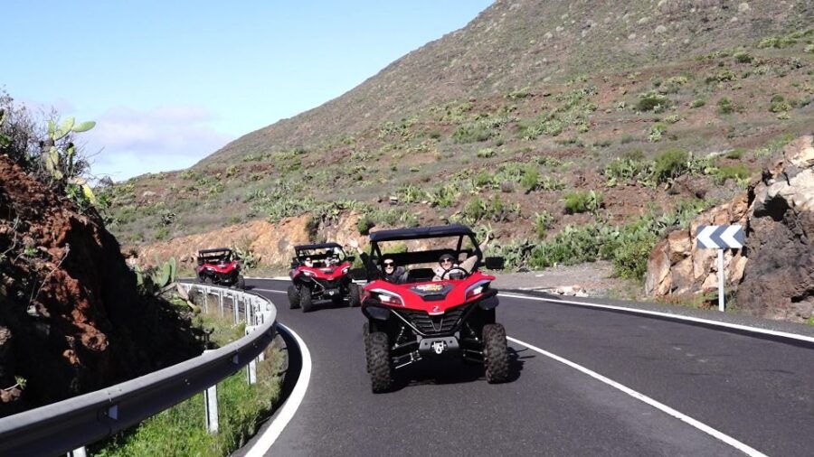 Tenerife: Teide National Park Guided Buggy Tour - Good To Know