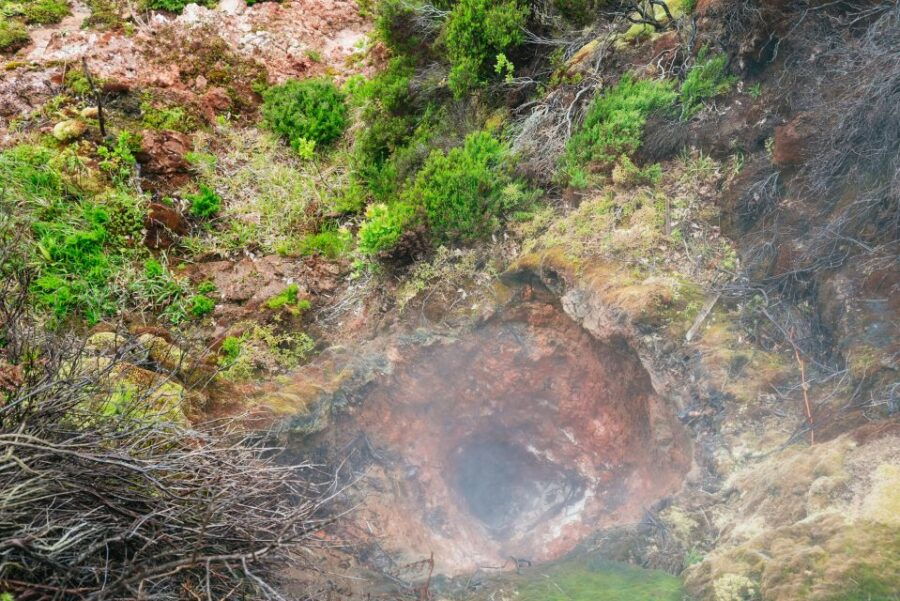 Terceira: Algar Do Carvão Lava Caves Tour - Good To Know