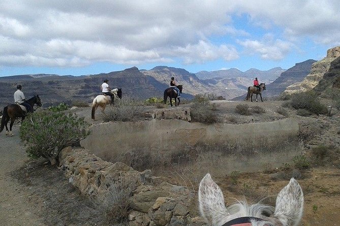 The Best Horse Riding Experience in Gran Canaria (2 Hours) - Good To Know