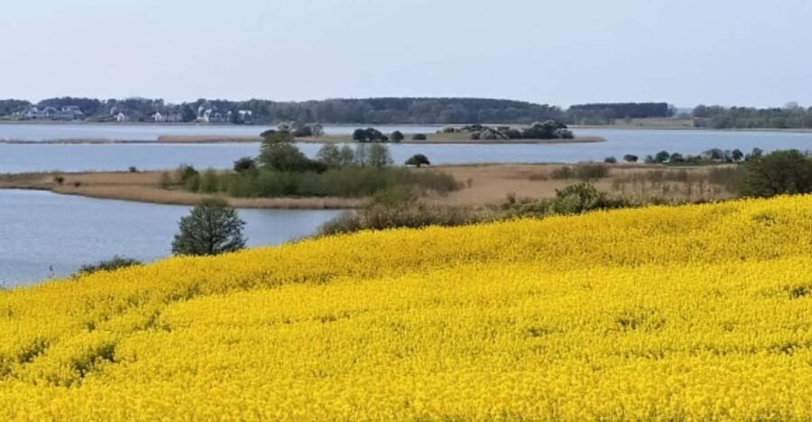 The BEST Zinnowitz Tours and Things to Do