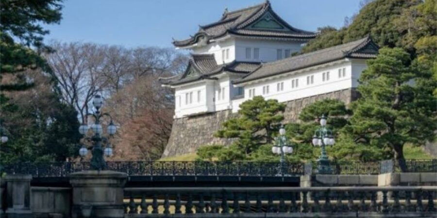 Tokyo: 1 Day Private Customizable City Tour by Car and Van - Good To Know