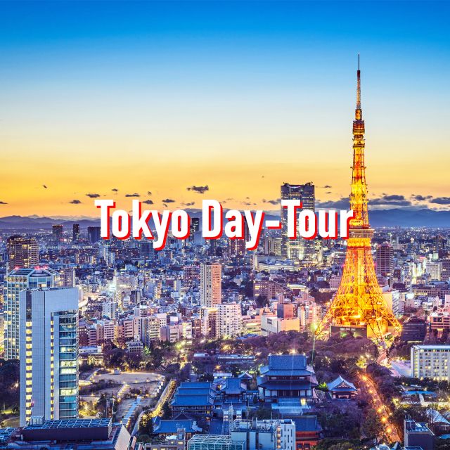 Tokyo: 10-Hour Customizable Private Tour With Hotel Transfer - Good To Know