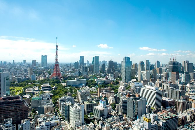 Tokyo Airport Transfers: Tokyo City to Tokyo-Narita Airport NRT in Luxury Van - Good To Know